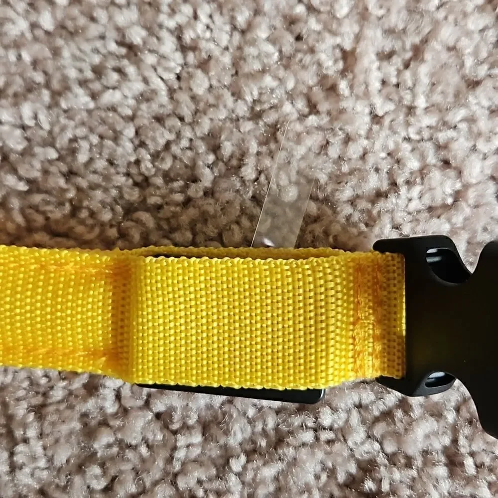 NWOT Glow in the dark LED dog collar